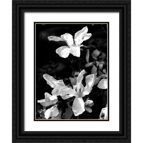 Floral Portrait VI Black Ornate Wood Framed Art Print with Double Matting by Pica, Jeff
