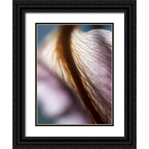 Lily Dusk II Black Ornate Wood Framed Art Print with Double Matting by Nourock, Jonathan