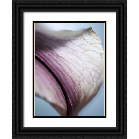 Lily Dusk III Black Ornate Wood Framed Art Print with Double Matting by Nourock, Jonathan