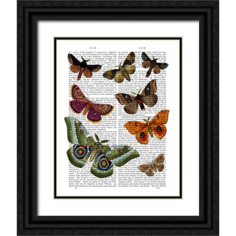 Moth Plate 2 Black Ornate Wood Framed Art Print with Double Matting by Fab Funky