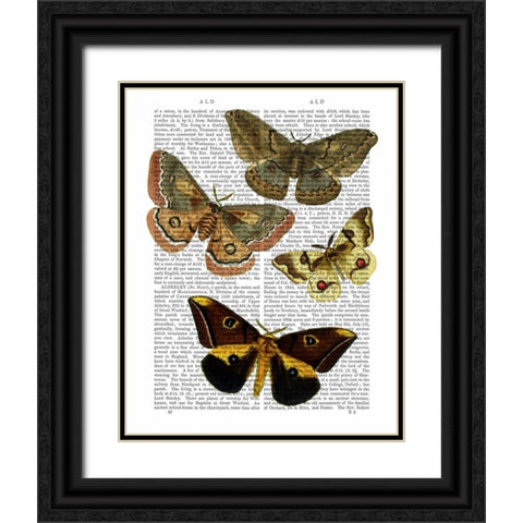 Moth Plate 3 Black Ornate Wood Framed Art Print with Double Matting by Fab Funky