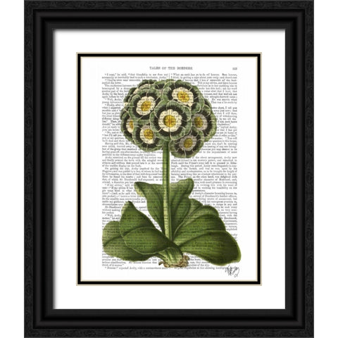 Primula Auricula Blue Black Ornate Wood Framed Art Print with Double Matting by Fab Funky