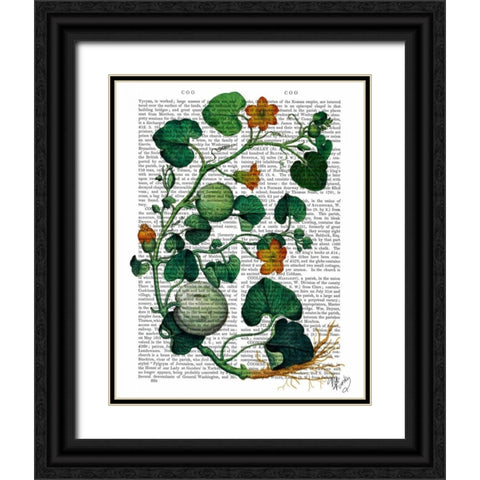 Squash Vine 2 Black Ornate Wood Framed Art Print with Double Matting by Fab Funky