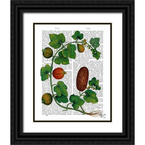 Squash Vine 3 Black Ornate Wood Framed Art Print with Double Matting by Fab Funky