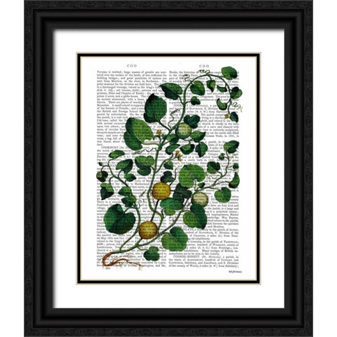 Squash Vine 4 Black Ornate Wood Framed Art Print with Double Matting by Fab Funky