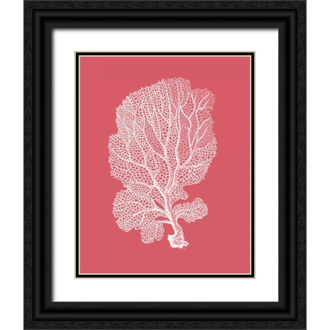 Corals White on Coral c Black Ornate Wood Framed Art Print with Double Matting by Fab Funky