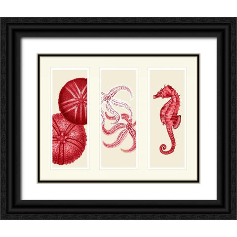 Three Panel Print Sea Urchin Starfish and Seahorse in Red Black Ornate Wood Framed Art Print with Double Matting by Fab Funky