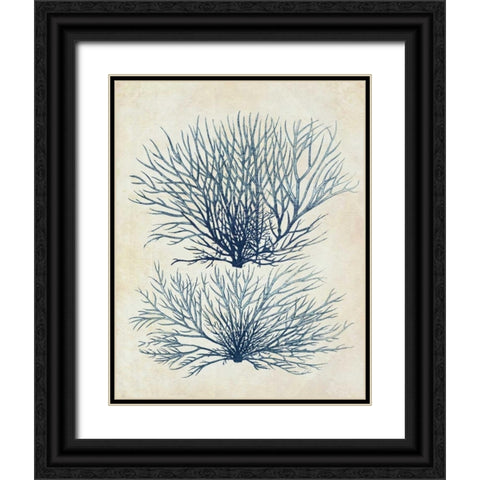 Indigo Blue Seaweed 1 a Black Ornate Wood Framed Art Print with Double Matting by Fab Funky