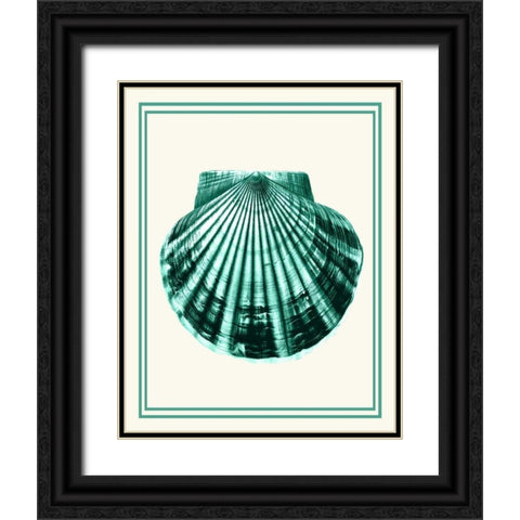 Mixed Nautical Green on Cream d Black Ornate Wood Framed Art Print with Double Matting by Fab Funky