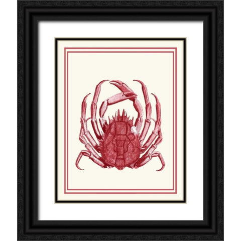 Mixed Nautical Coral on Cream f Black Ornate Wood Framed Art Print with Double Matting by Fab Funky