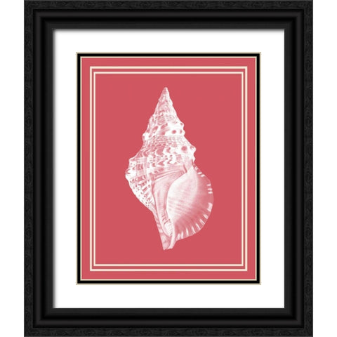 Mixed Nautical White on Coral d Black Ornate Wood Framed Art Print with Double Matting by Fab Funky