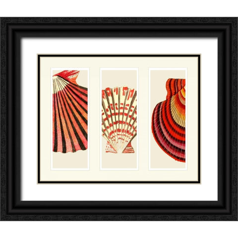 Red and Cream Shells on 3 Panels Black Ornate Wood Framed Art Print with Double Matting by Fab Funky