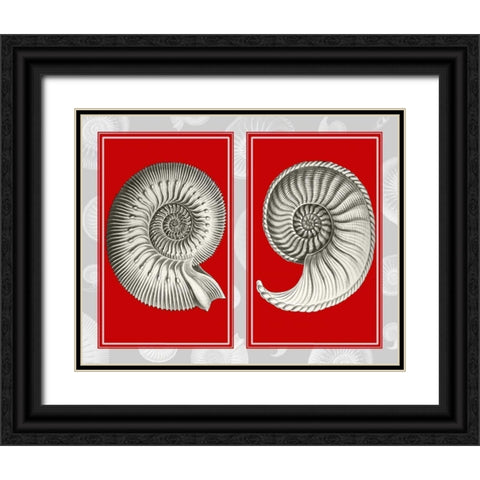 Nautilus Shells On Red Black Ornate Wood Framed Art Print with Double Matting by Fab Funky