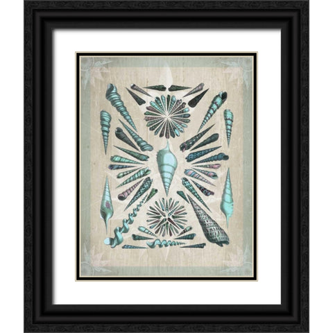 Shell Collection 5 Black Ornate Wood Framed Art Print with Double Matting by Fab Funky