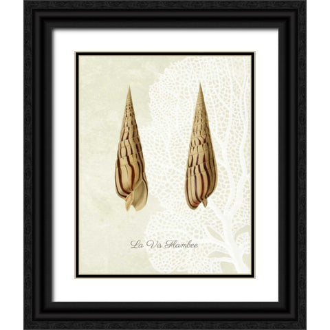 French Shell Print b Black Ornate Wood Framed Art Print with Double Matting by Fab Funky
