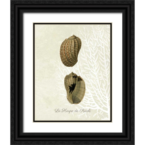 French Shell Print c Black Ornate Wood Framed Art Print with Double Matting by Fab Funky