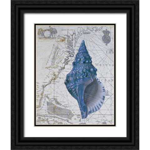 Seashell Collection 1 a Black Ornate Wood Framed Art Print with Double Matting by Fab Funky