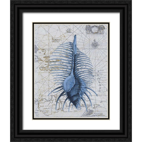 Seashell Collection 1 b Black Ornate Wood Framed Art Print with Double Matting by Fab Funky