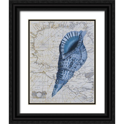 Seashell Collection 1 c Black Ornate Wood Framed Art Print with Double Matting by Fab Funky