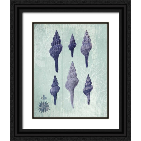 Seashell Collection 2 c Black Ornate Wood Framed Art Print with Double Matting by Fab Funky