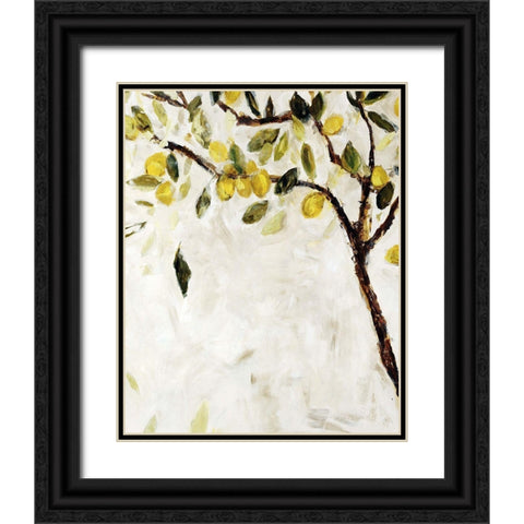 Meyer Lemon Tree Black Ornate Wood Framed Art Print with Double Matting by Maas, Jodi