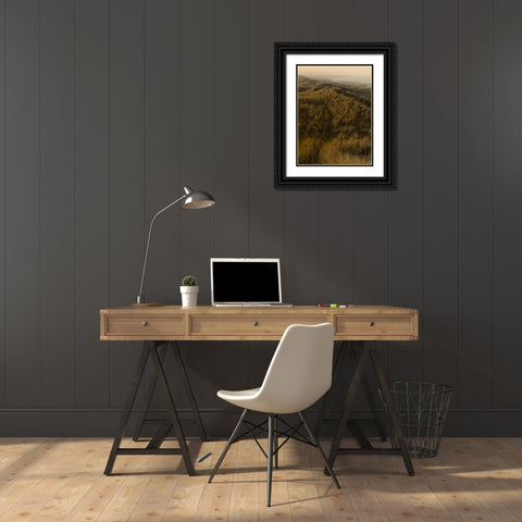 Golden Fog II Black Ornate Wood Framed Art Print with Double Matting by Green, Jacob