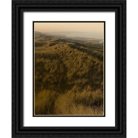 Golden Fog II Black Ornate Wood Framed Art Print with Double Matting by Green, Jacob