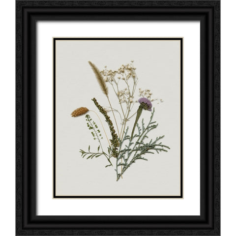 Pressed Autumn Blooms II Black Ornate Wood Framed Art Print with Double Matting by Barnes, Victoria
