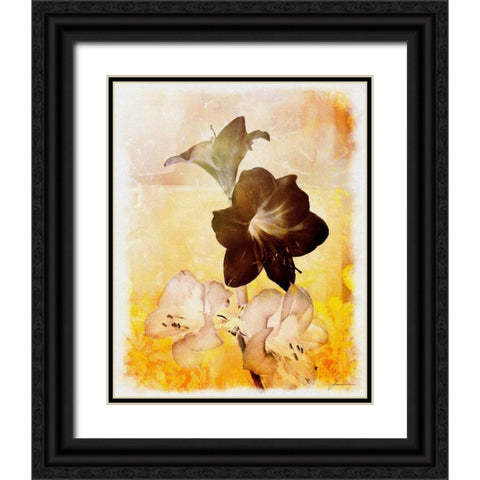 Brocade Garden II Black Ornate Wood Framed Art Print with Double Matting by Burghardt, James