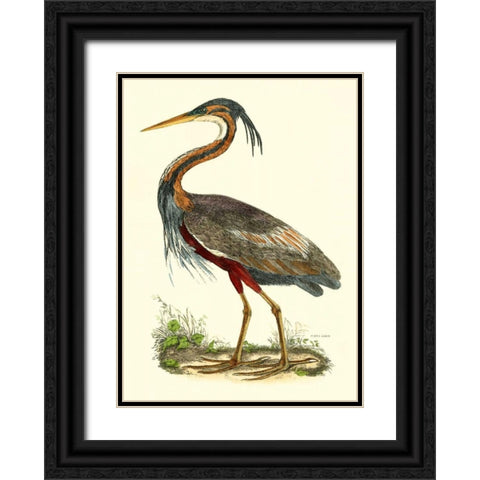 Purple Heron Black Ornate Wood Framed Art Print with Double Matting by Selby, John