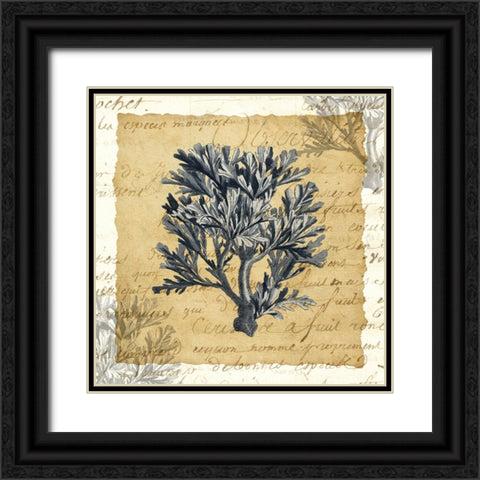 La Vie en Mer IV Black Ornate Wood Framed Art Print with Double Matting by Vision Studio