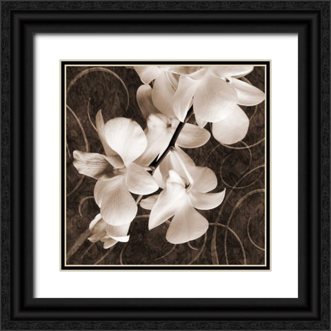 Orchid and Swirls I Black Ornate Wood Framed Art Print with Double Matting by Zalewski, Christine