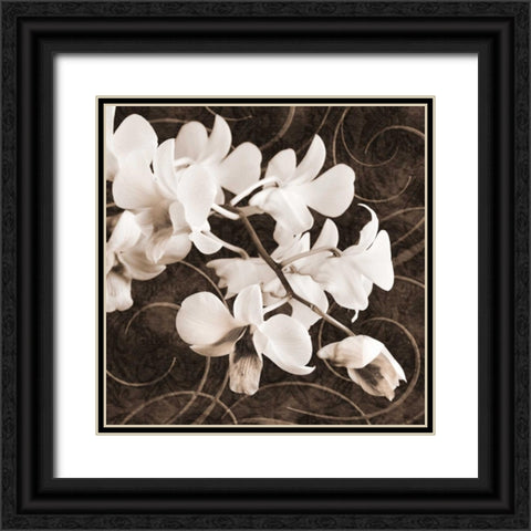 Orchid and Swirls II Black Ornate Wood Framed Art Print with Double Matting by Zalewski, Christine