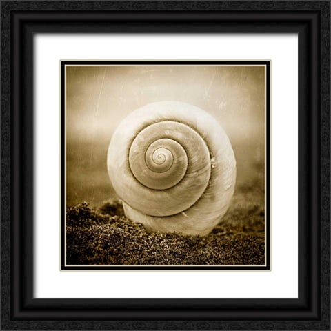 Cochlear III Black Ornate Wood Framed Art Print with Double Matting by Hartson-Weddle, Ryan