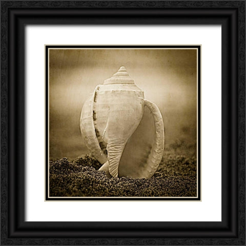 A Suitable Dwelling Black Ornate Wood Framed Art Print with Double Matting by Hartson-Weddle, Ryan