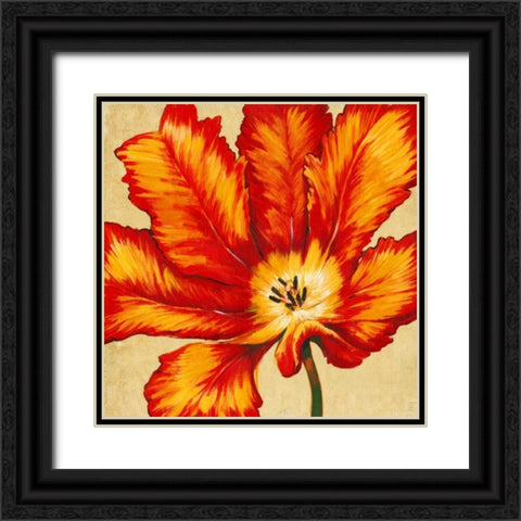 Parrot Tulip II Black Ornate Wood Framed Art Print with Double Matting by OToole, Tim