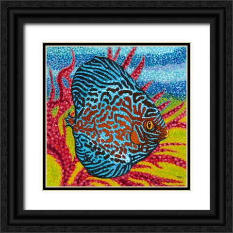 Brilliant Tropical Fish II Black Ornate Wood Framed Art Print with Double Matting by Vitaletti, Carolee