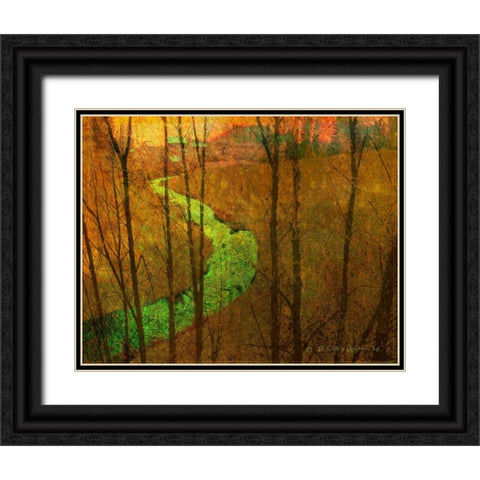 Woodblock Stream I Black Ornate Wood Framed Art Print with Double Matting by Vest, Chris