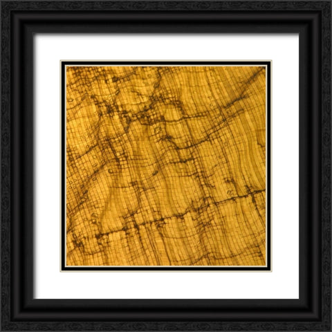 Natures Textures I Black Ornate Wood Framed Art Print with Double Matting by Vision Studio