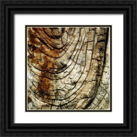 Natures Textures III Black Ornate Wood Framed Art Print with Double Matting by Vision Studio