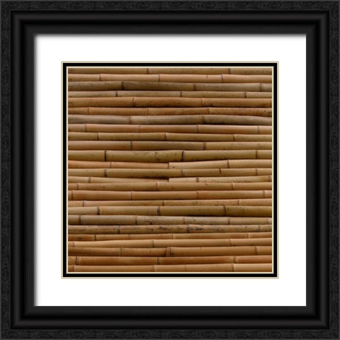 Natures Textures IV Black Ornate Wood Framed Art Print with Double Matting by Vision Studio