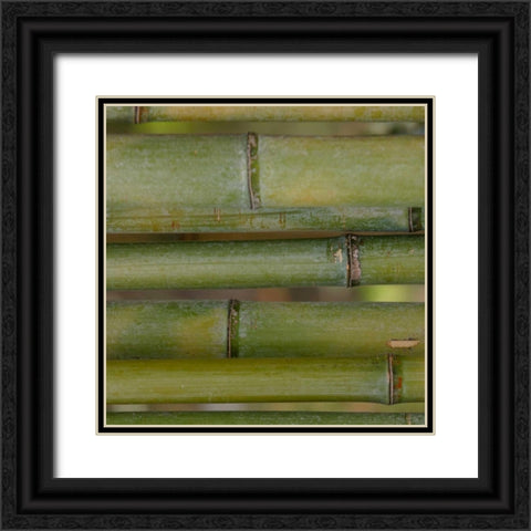 Natures Textures V Black Ornate Wood Framed Art Print with Double Matting by Vision Studio