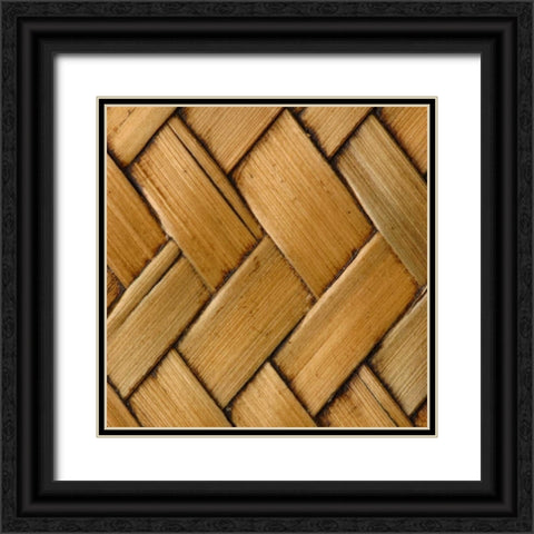 Natures Textures VI Black Ornate Wood Framed Art Print with Double Matting by Vision Studio