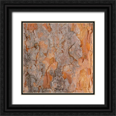 Natures Textures VII Black Ornate Wood Framed Art Print with Double Matting by Vision Studio