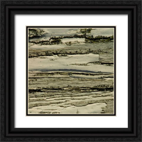 Natures Textures VIII Black Ornate Wood Framed Art Print with Double Matting by Vision Studio