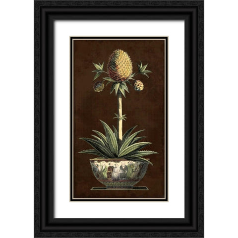 Potted Pineapple I Black Ornate Wood Framed Art Print with Double Matting by Vision Studio