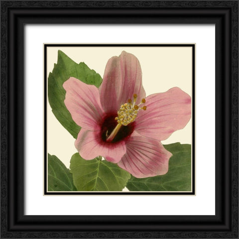 Tropical Vision II Black Ornate Wood Framed Art Print with Double Matting by Vision Studio