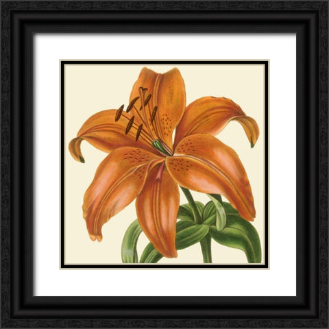 Tropical Vision IV Black Ornate Wood Framed Art Print with Double Matting by Vision Studio