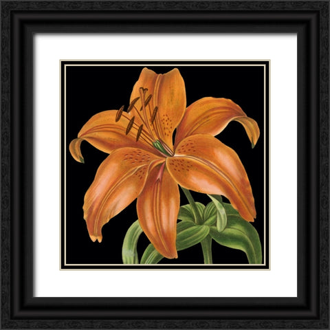 Dramatic Tropical Vision IV Black Ornate Wood Framed Art Print with Double Matting by Vision Studio