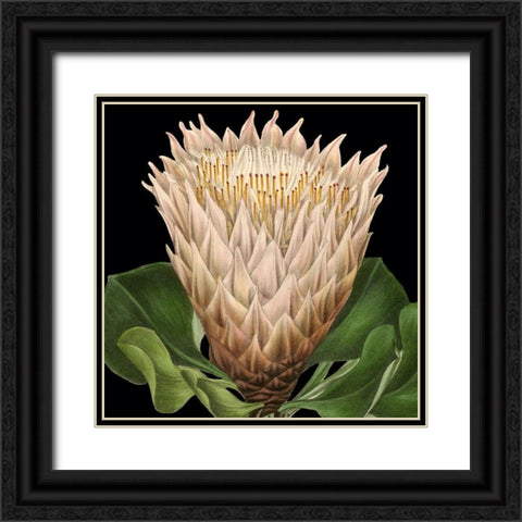 Dramatic Tropical Vision VI Black Ornate Wood Framed Art Print with Double Matting by Vision Studio